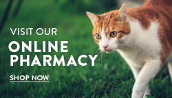 Visit our Online Pharmacy